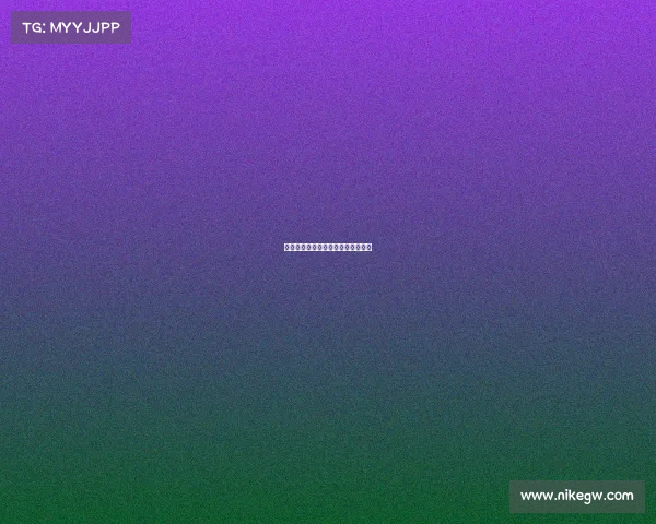 湖人队攻守兼备，成功封锁对方进攻